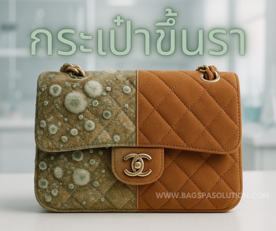 เชื้อราบนกระเป๋า | BagSpaSolution